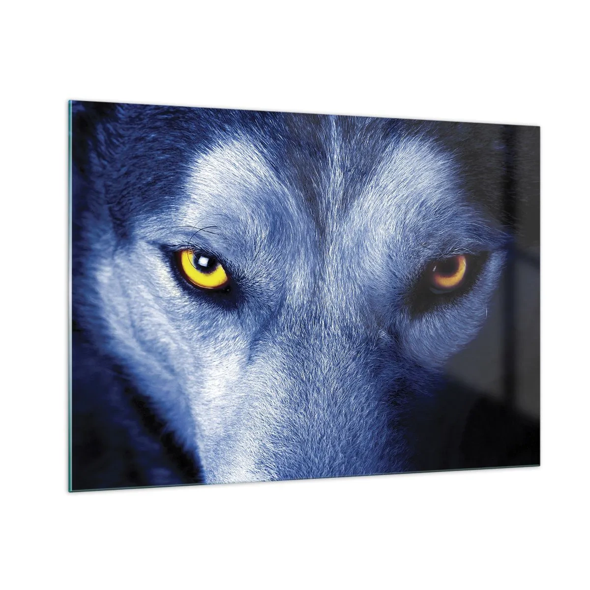 Quadro su vetro - Lo sguardo ipnotizzante di un lupo - 100x70cm - Sguardo ipnotico - Decorazione murale moderna per soggiorno e camera da letto ARTTOR