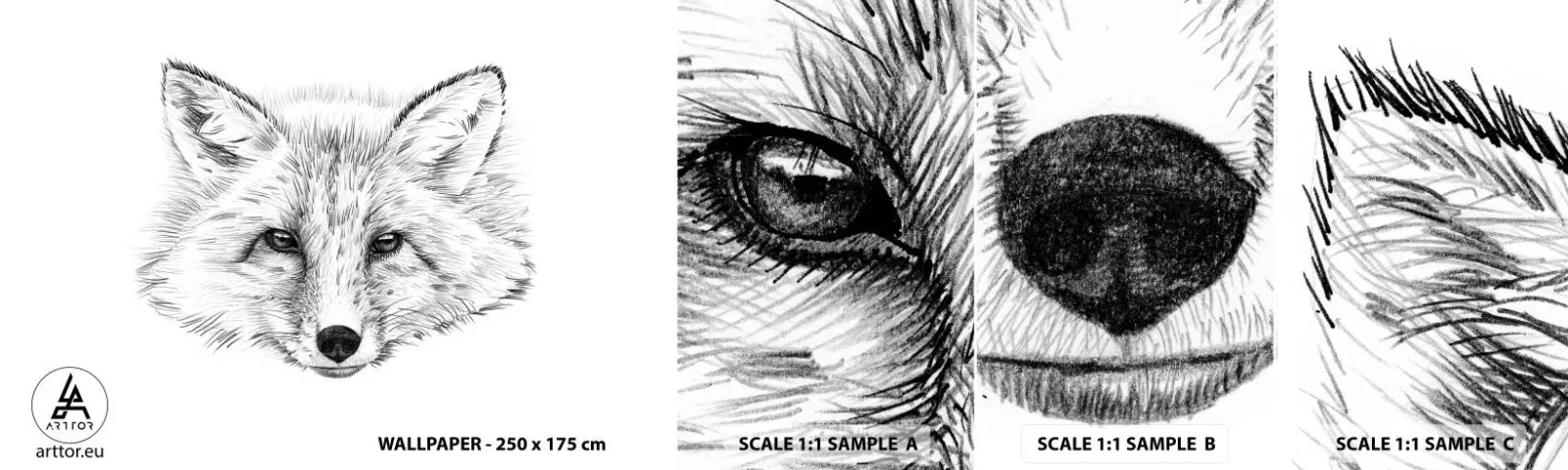 Campione Di Fotomurale Standard Eco - Questi occhi possono mentire? - Animali, Volpe, Grafica - 100x30 cm