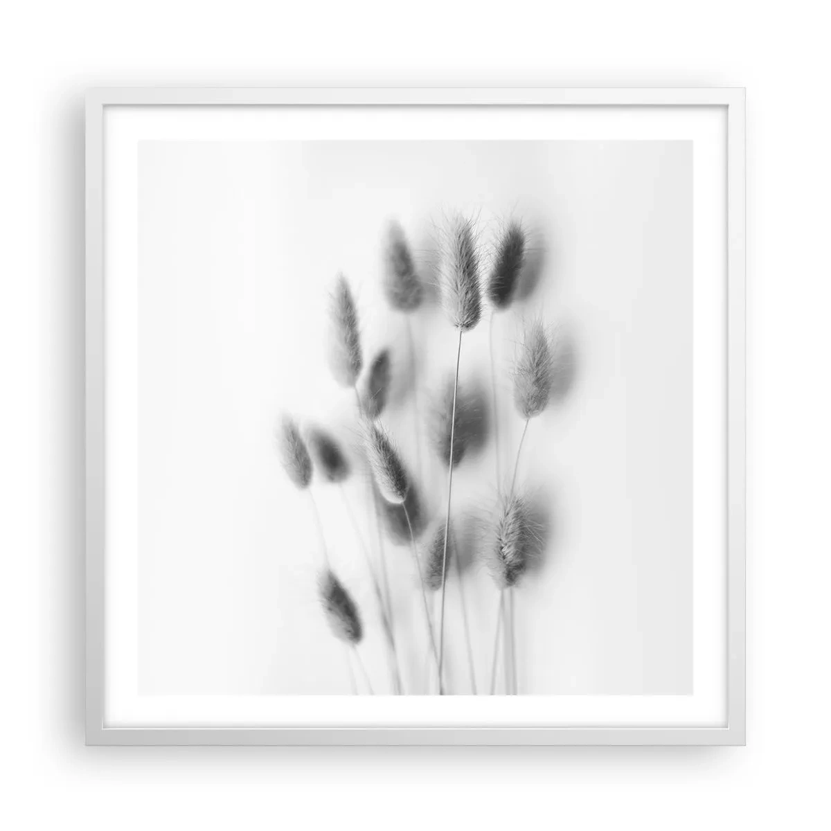 Poster in cornice bianca - Erba soffice - 60x60 cm