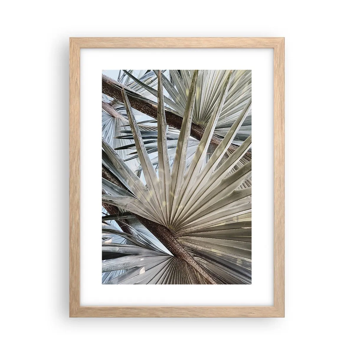 Poster in cornice rovere chiaro - Ventagli dei tropici - 30x40 cm