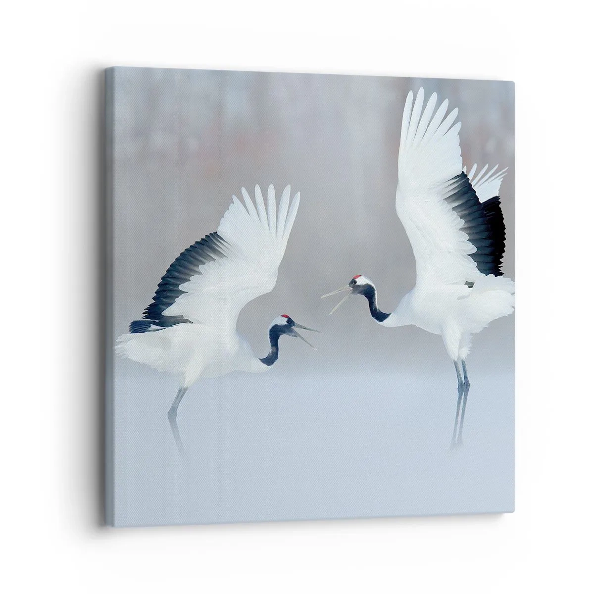 Quadro su tela - Stampe su Tela - Danza nella nebbia - 30x30 cm