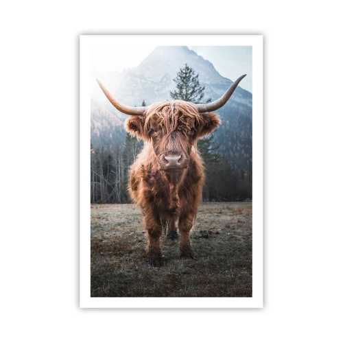 Poster - Saluti dal prato montano - 61x91 cm