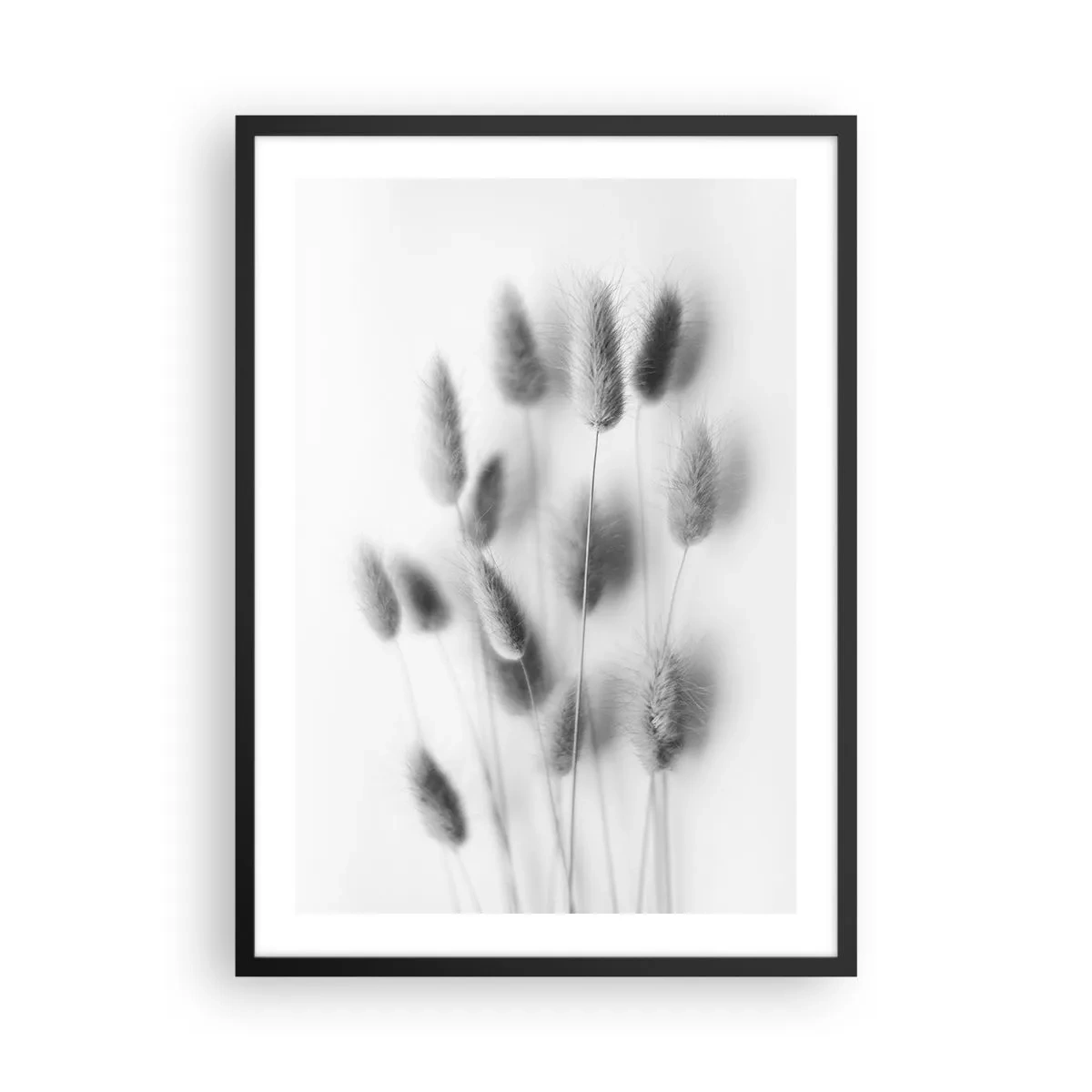 Poster in cornice nera - Soffici spighe d'erba bianche e nere - 50x70cm - Erba soffice - Decorazione murale moderna per soggiorno e camera da letto ARTTOR