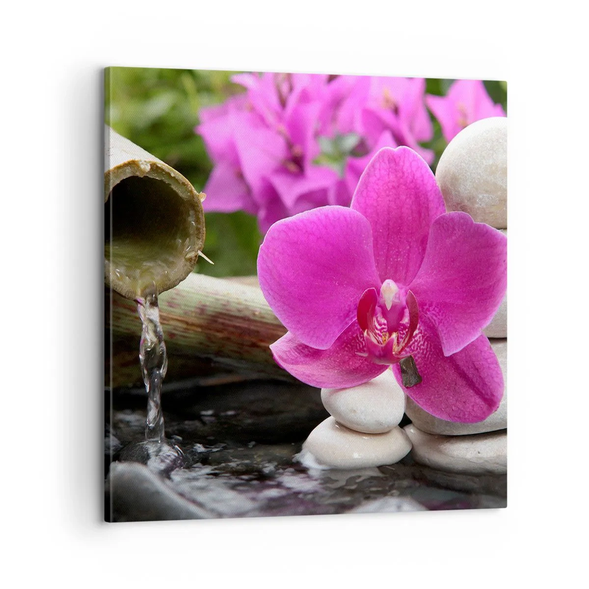 Quadro su tela - Stampe su Tela - E già ti riposi - 60x60 cm