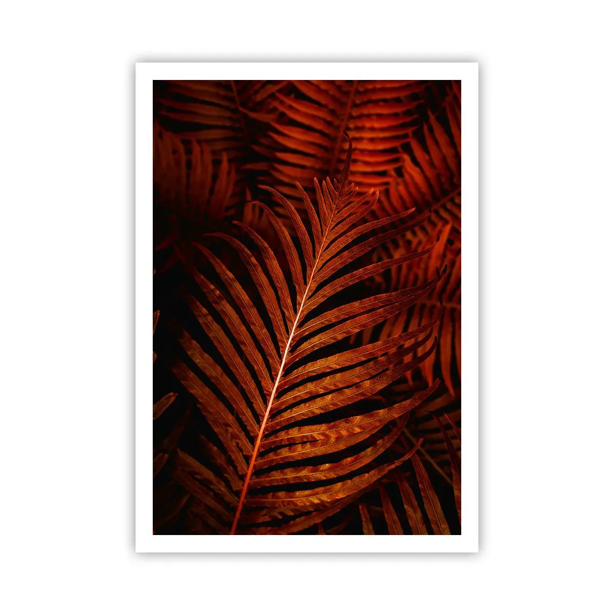 Poster - Il calore della vita - 70x100 cm