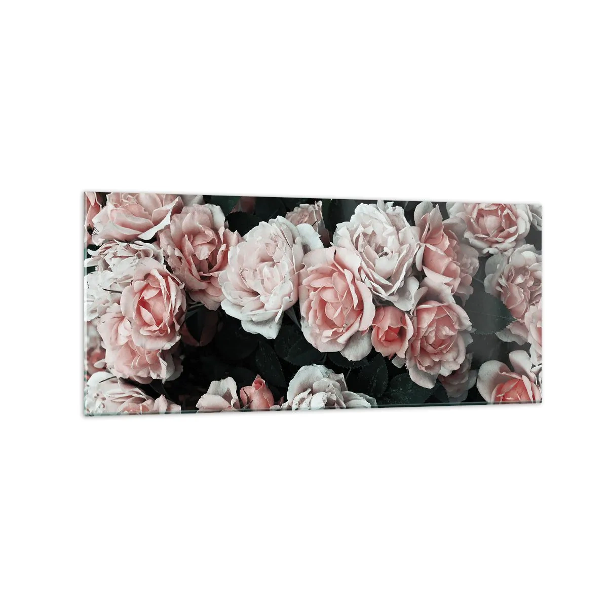 Quadro su vetro - Rose rosa su sfondo scuro in una composizione delicata - 120x50cm - Composizione di rose - Decorazione murale moderna per soggiorno e camera da letto ARTTOR