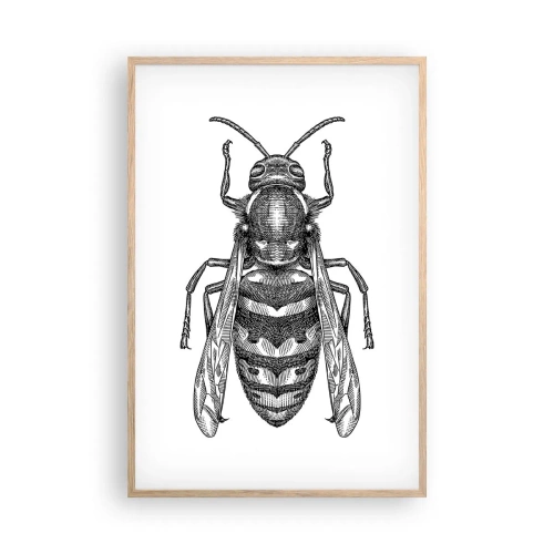 Poster in cornice rovere chiaro - Dal pianeta degli insetti - 61x91 cm