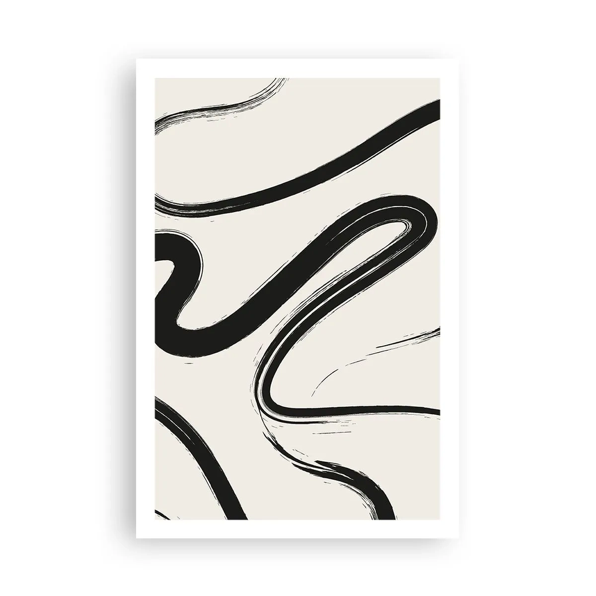 Poster - Capriccio bianco e nero - 61x91 cm