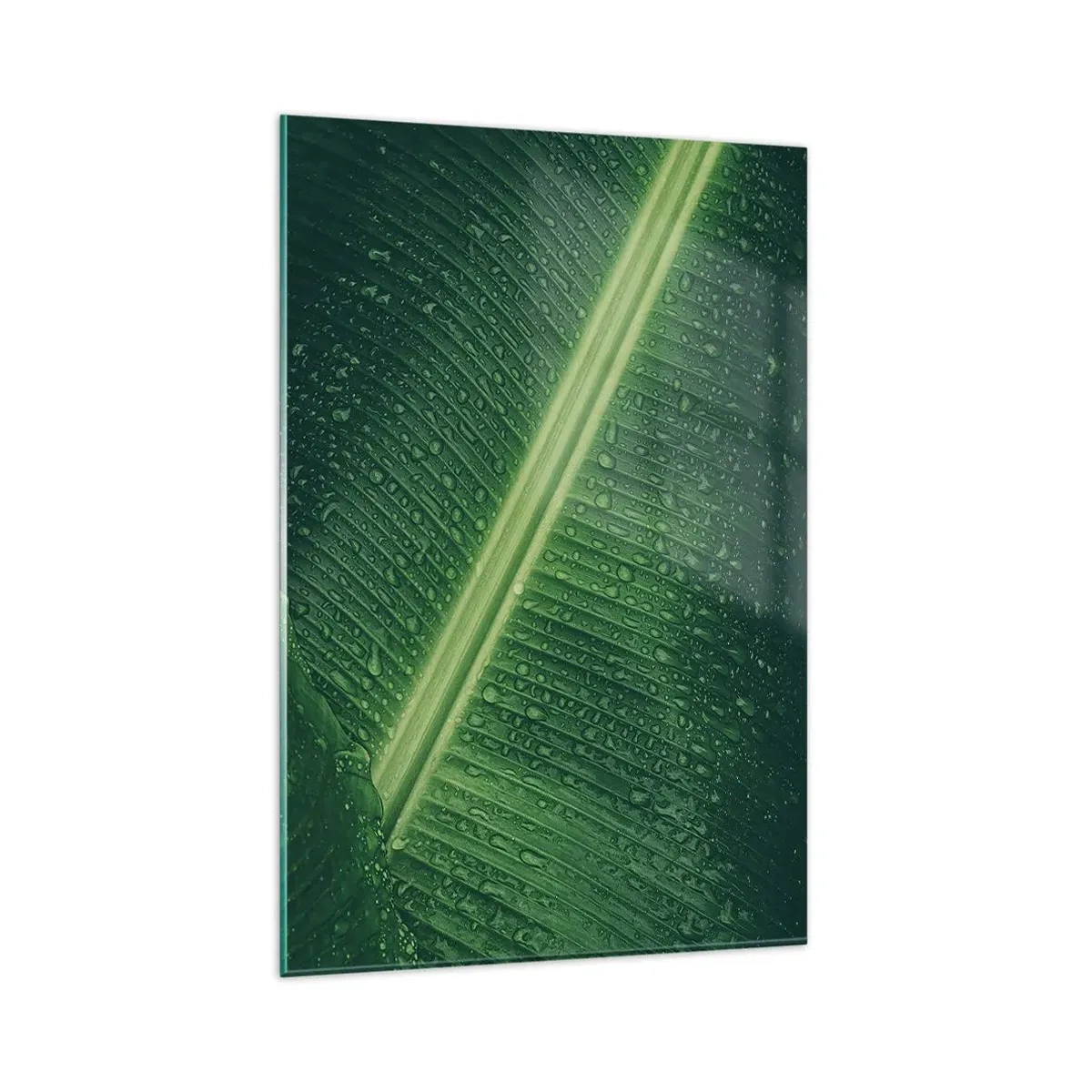Quadro su vetro - Una foglia verde con gocce d'acqua sulla sua superficie - 80x120cm - La struttura del verde - Decorazione murale moderna per soggiorno e camera da letto ARTTOR