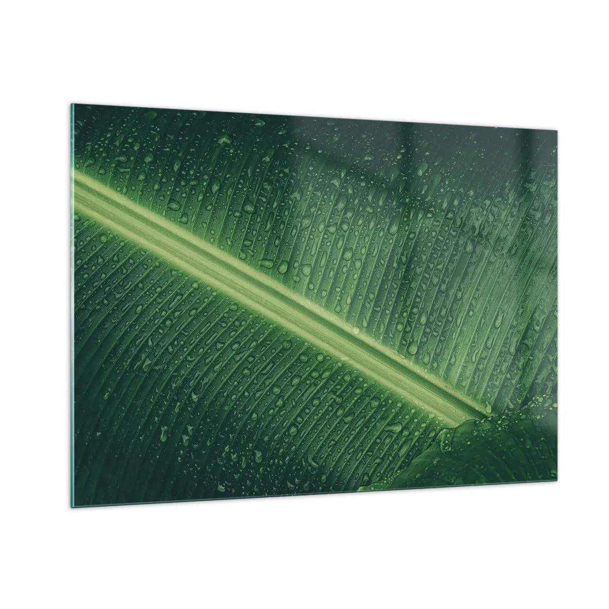 Quadro su vetro - Primo piano di una foglia verde con gocce d'acqua - 100x70cm - La struttura del verde - Decorazione murale moderna per soggiorno e camera da letto ARTTOR