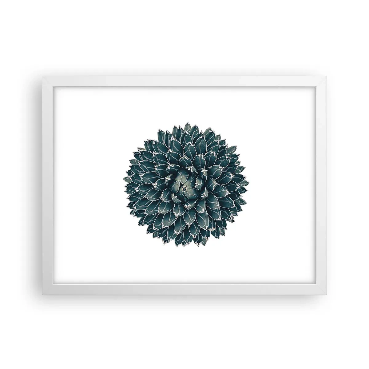 Poster in cornice bianca - La stella del deserto - 40x30 cm