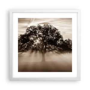 Poster in cornice bianca - L'albero delle sole buone notizie - 40x40 cm