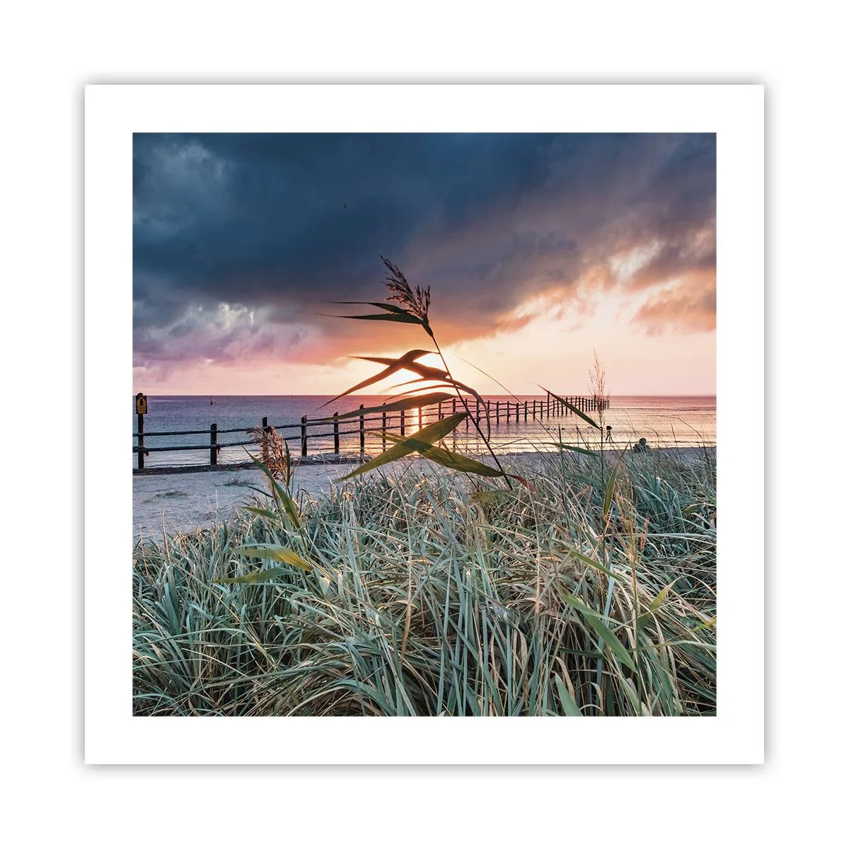 Poster - Non andrà via col vento - 50x50 cm