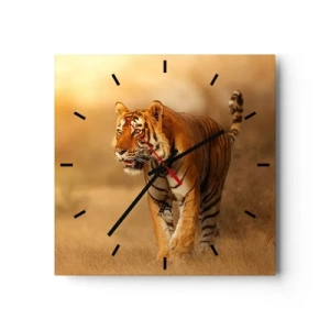 Orologio da parete - Orologio in Vetro - Una tigre che cammina nella savana dai colori caldi - 30x30cm - Prima dell'attacco - Decorazione murale moderna per soggiorno e camera da letto ARTTOR