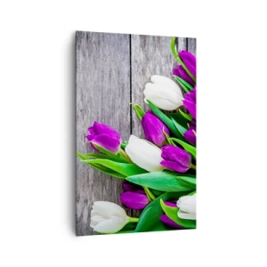 Quadro su tela - Stampe su Tela - Un bouquet di tulipani viola e bianchi su uno sfondo di legno - 80x120cm - Nella festa della primavera - Decorazione murale moderna per soggiorno e camera da letto ARTTOR
