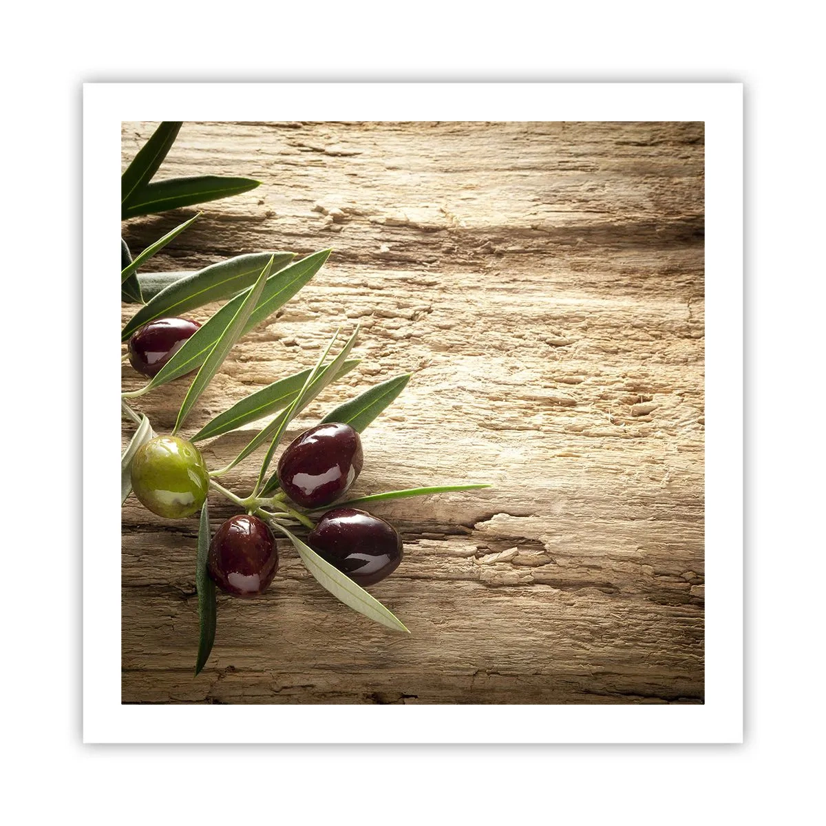 Poster - Direttamente dalla natura - 60x60 cm