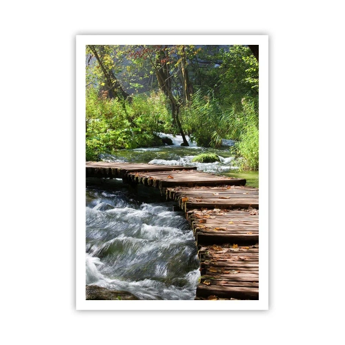 Poster - Sulla cascata spumeggiante - 70x100 cm