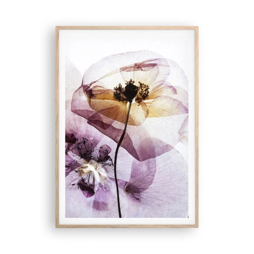Poster in cornice rovere chiaro - Fiori trasparenti - 70x100 cm