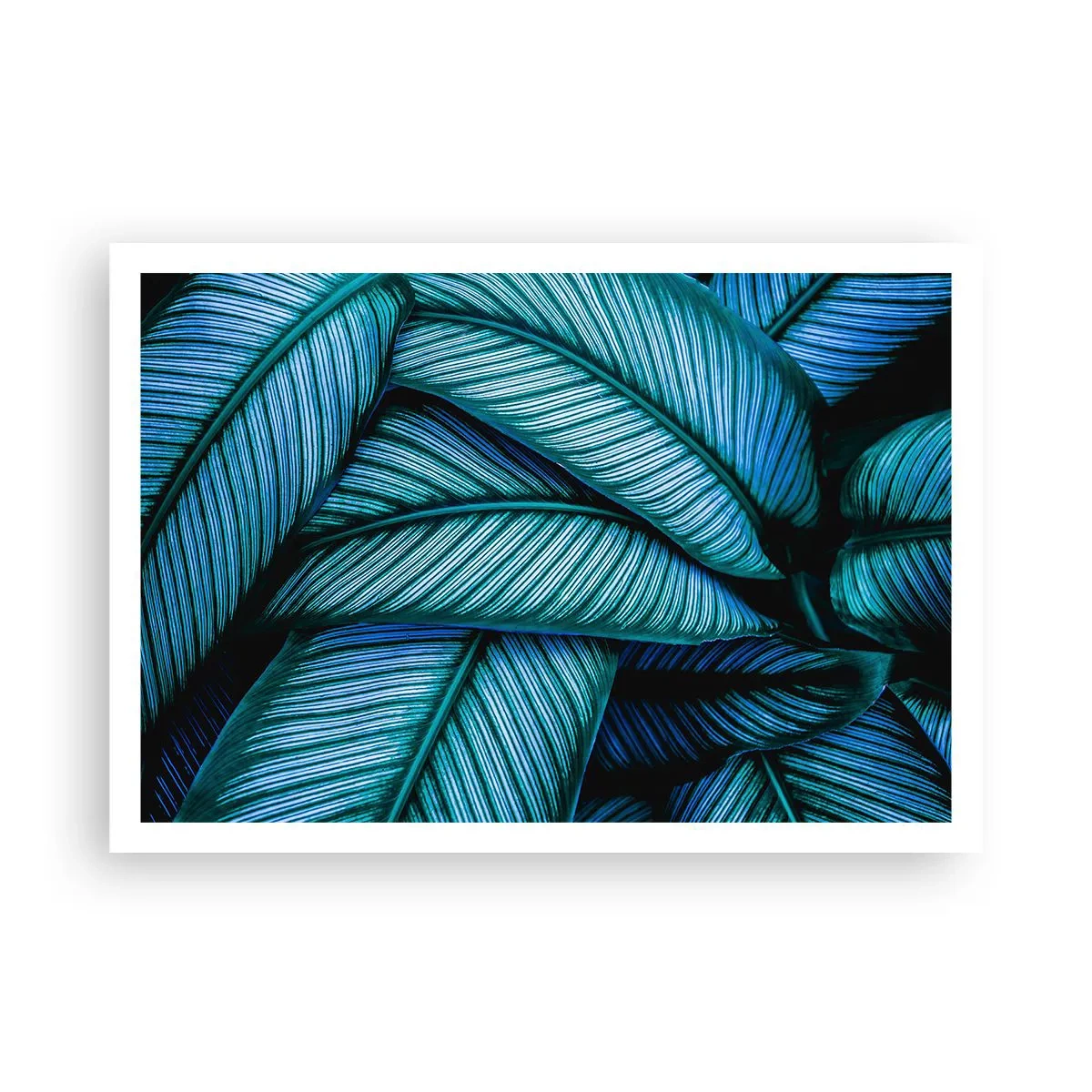 Poster - Primo piano di foglie turchesi con dettagli vividi. - 100x70cm - Le linee della vita - Decorazione murale moderna per soggiorno e camera da letto ARTTOR