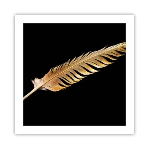 Poster - Non una piuma qualsiasi.... - 50x50 cm