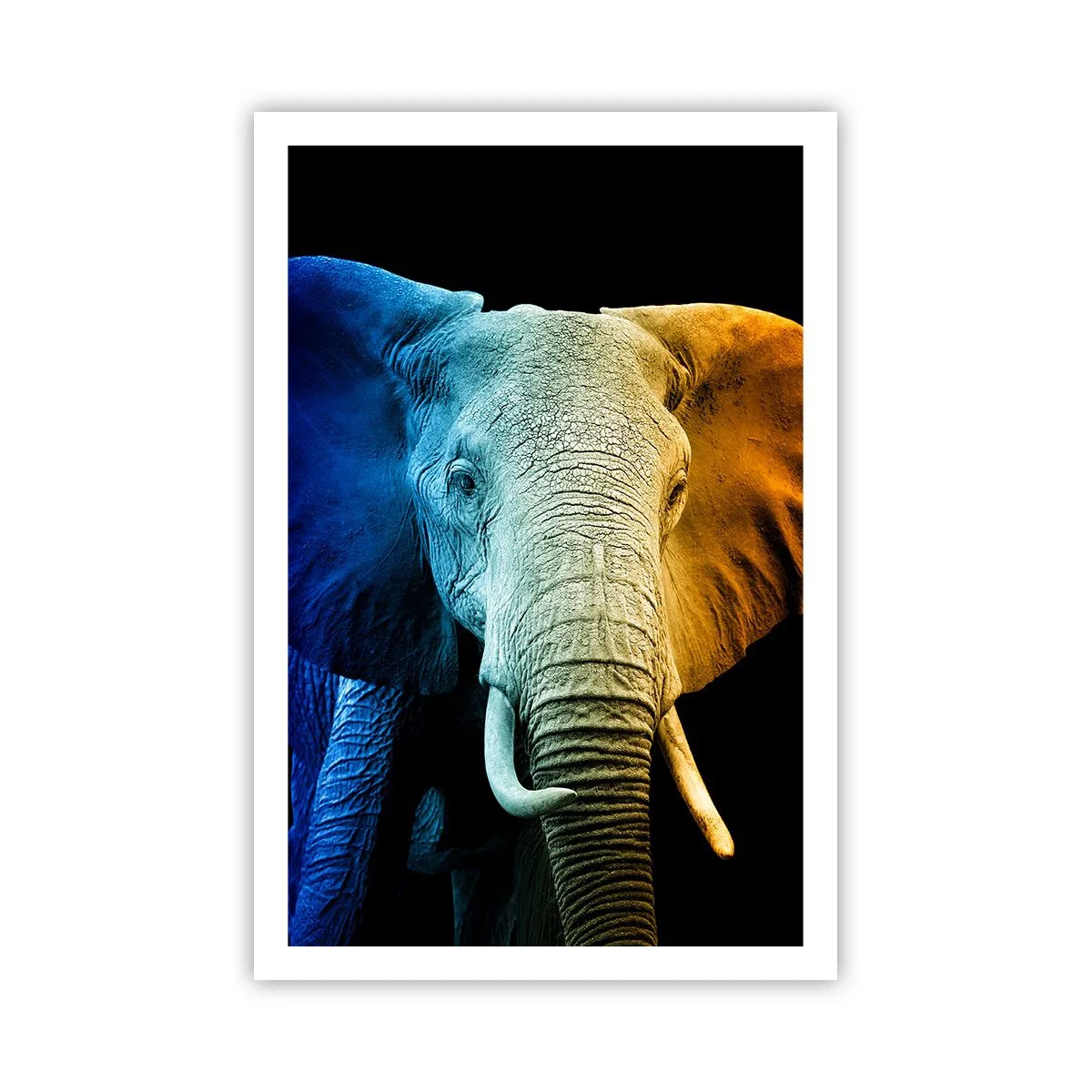 Poster - Eccentrico, non strano - 61x91 cm