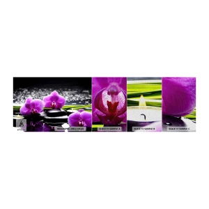 Campione di Fotomurale Premium Sand - Annegare nel silenzio e nella pace - Fiori, Orchidea, Orchidea - 100x30 cm