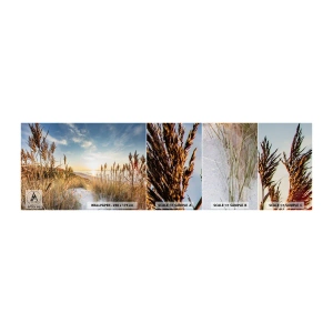 Campione Di Fotomurale Standard Eco - Spiaggia del nord - Paesaggio, Mare, Spiaggia - 100x30 cm