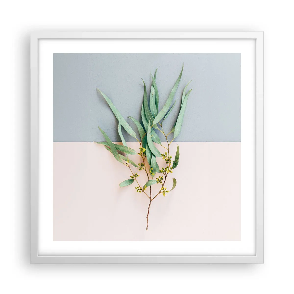 Poster in cornice bianca - Delicatezza pastello - 50x50 cm