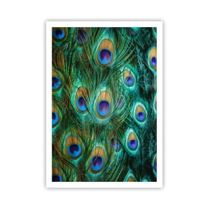 Poster - Lo sguardo del pavone - 70x100 cm