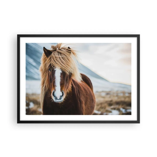 Poster in cornice nera - Cavallo islandese contro un paesaggio montano - 70x50cm - Senti la libertà? - Decorazione murale moderna per soggiorno e camera da letto ARTTOR