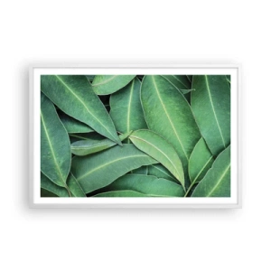 Poster in cornice bianca - Succosi e freschi - 91x61 cm