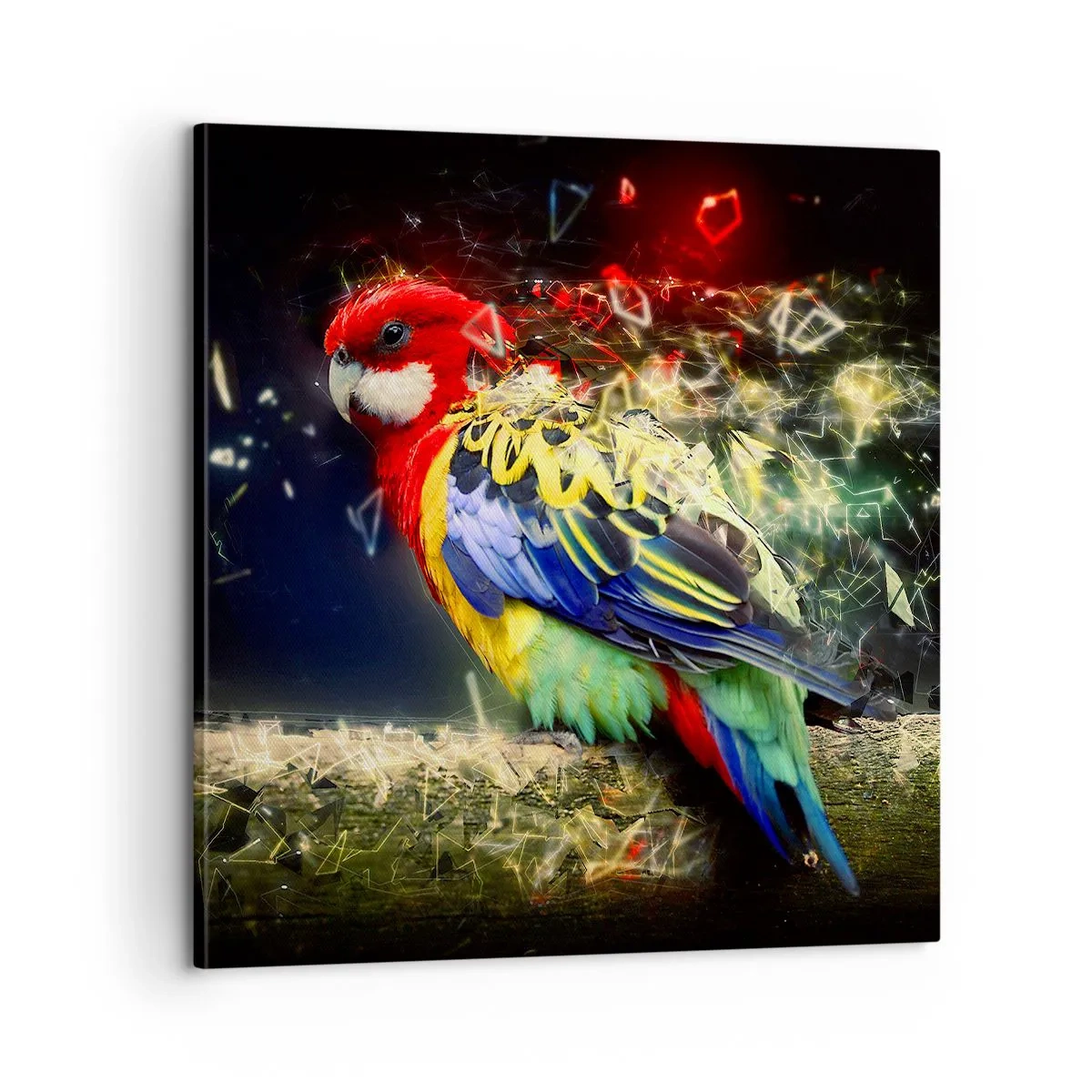 Quadro su tela - Stampe su Tela - Messaggero di luce - 60x60 cm