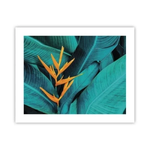 Poster - Il fiore dell'Eden - 50x40 cm