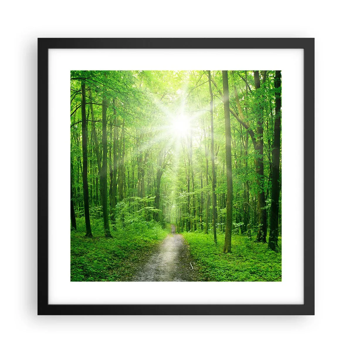 Poster in cornice nera - Cattedrale verde - 40x40 cm