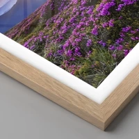 Rovere chiaro