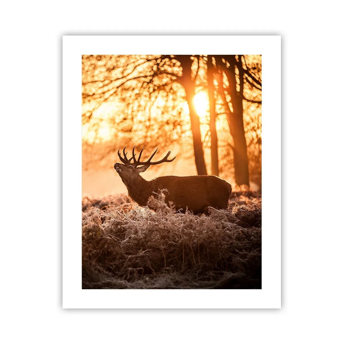 Poster - Il sogno del cacciatore - 40x50 cm