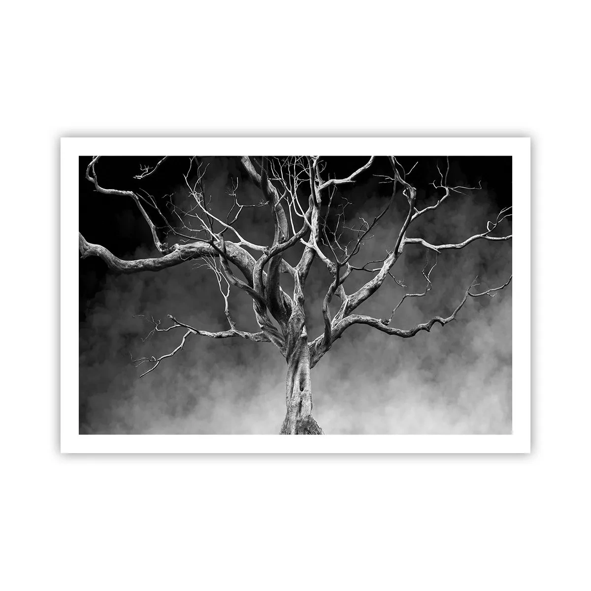 Poster - Primordiale e sacro - 91x61 cm