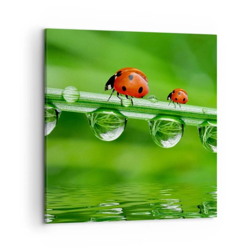 Quadro su tela - Stampe su Tela - In cammino per tutta l'estate - 50x50 cm