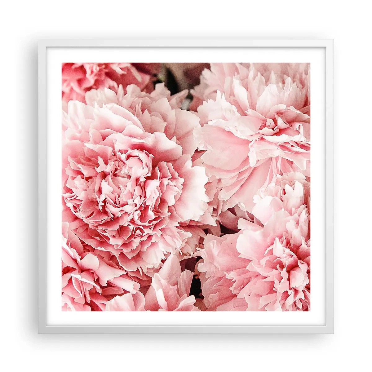 Poster in cornice bianca - Sogno rosa - 60x60 cm