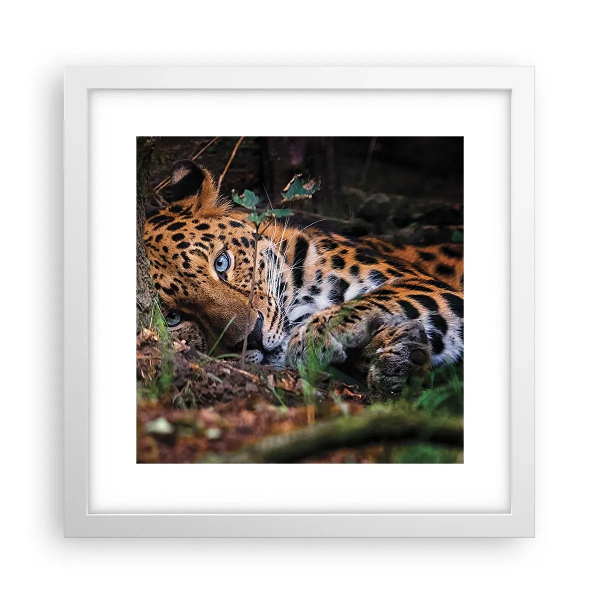 Poster in cornice bianca - Fidati di me - 30x30 cm