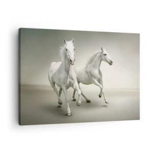 Quadro su tela - Stampe su Tela - Due cavalli bianchi al galoppo su uno sfondo chiaro - 70x50cm - White power! - Decorazione murale moderna per soggiorno e camera da letto ARTTOR