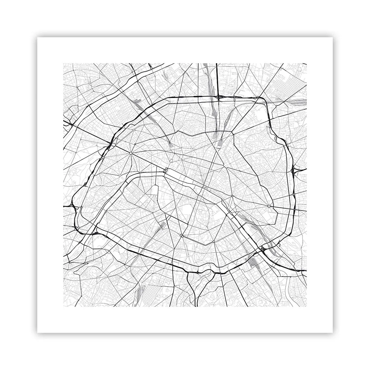 Poster - Il fiore di Parigi - 40x40 cm