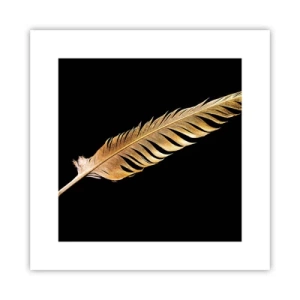 Poster - Non una piuma qualsiasi.... - 30x30 cm