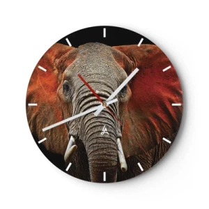 Orologio da parete - Orologio in Vetro - Primo piano di un elefante su uno sfondo scuro - 30x30cm - Sono selvaggio e tu? - Decorazione murale moderna per soggiorno, cucina e camera da letto ARTTOR