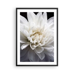 Poster in cornice nera - Primo piano di una dalia bianca su uno sfondo scuro - 50x70cm - Il mattino della sposa - Decorazione murale moderna per soggiorno e camera da letto ARTTOR