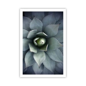 Poster - Adesca e minaccia - 61x91 cm