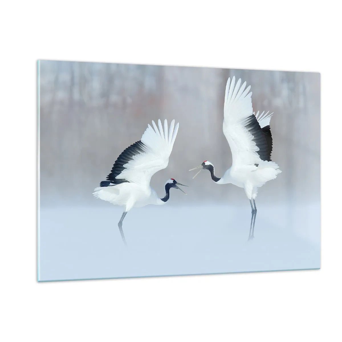 Quadro su vetro - Gru danzanti sullo sfondo di un paesaggio invernale - 120x80cm - Danza nella nebbia - Decorazione murale moderna per soggiorno e camera da letto ARTTOR