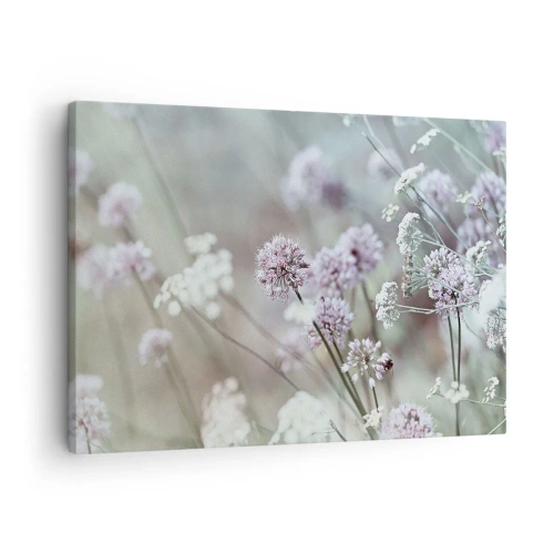 Quadro su tela - Stampe su Tela - Fiori delicati in tonalità pastello - 70x50cm - Le dolci filigrane delle erbe - Decorazione murale moderna per soggiorno e camera da letto ARTTOR