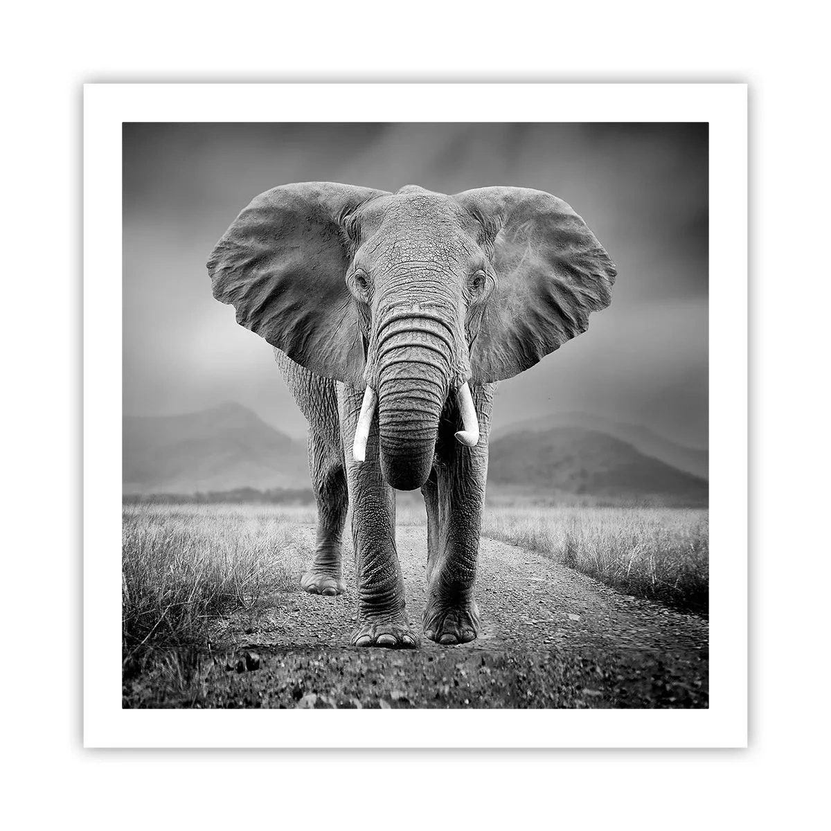 Poster - Il padrone di casa dà il benvenuto - 60x60 cm