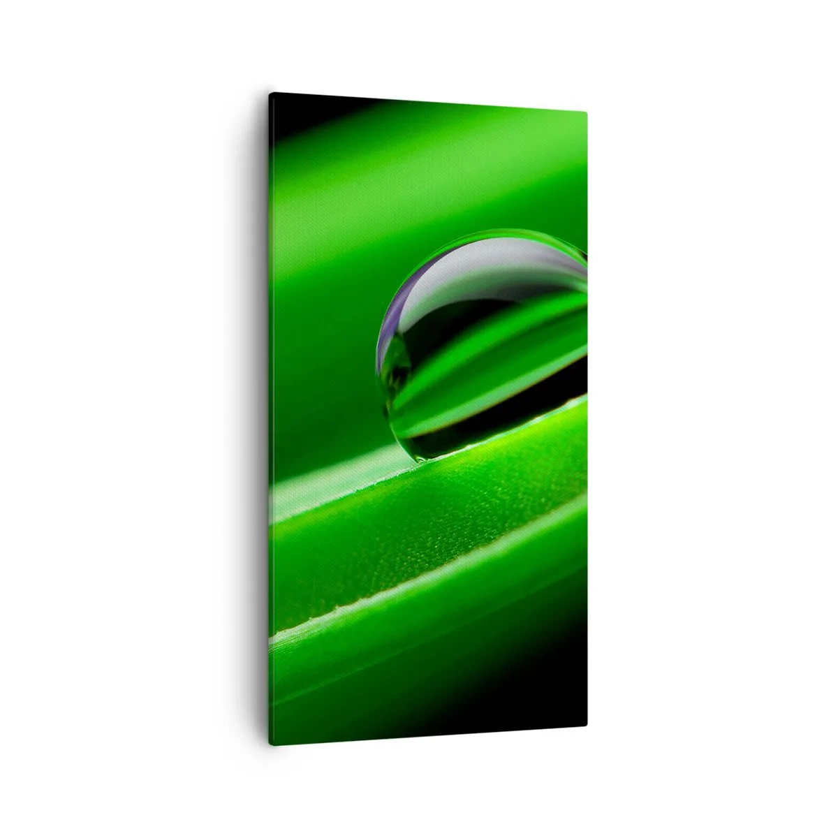 Quadro su tela - Stampe su Tela - La vita da vicino - 55x100 cm